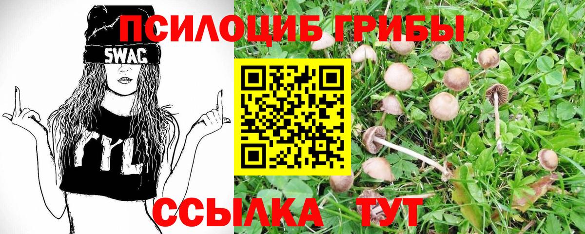 Галлюциногенные грибы Psilocybine cubensis  Вход с VPN  Аксай 